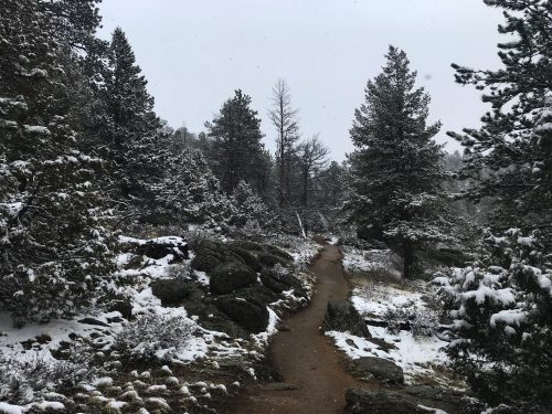 First hike in Colorado (2)