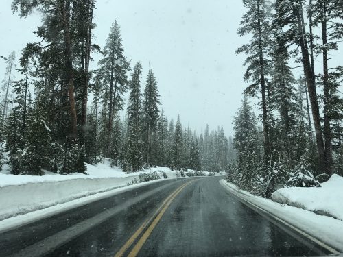 Driving in Yellowstone in the snow