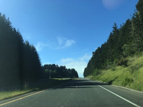 Driving to Redwoods National Park