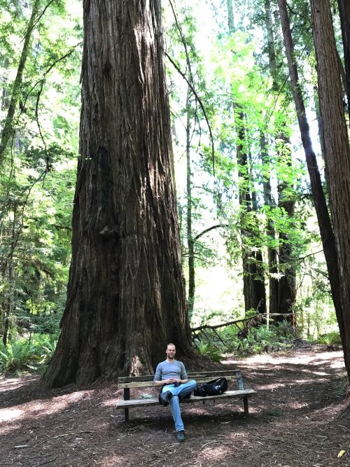 Enjoying nature in Redwoods National Park