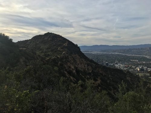 Hiking back of the hills of Hollywood