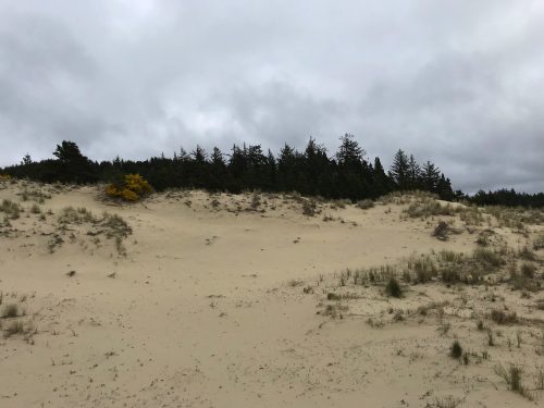 Hiking in Oregon Sand Dunes (4)