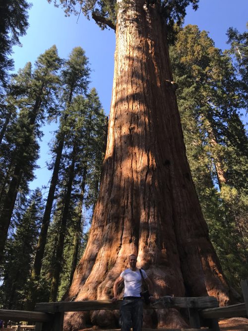 Me in front of the biggest tree in the world