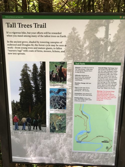 Tall Trees Trail sign in Redwoods National Park