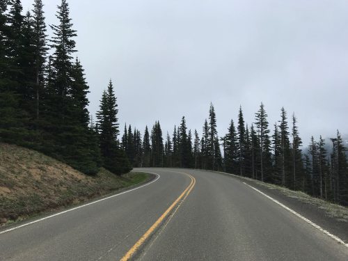 The road in Olympic National Park