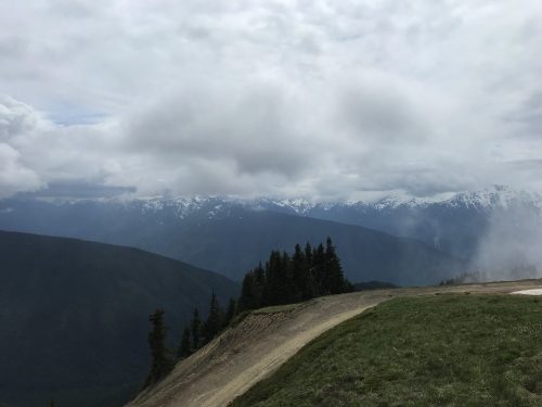 View at the top in Olympic National Park