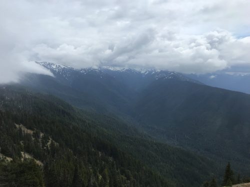 View at the top of Olympic National Park (2)