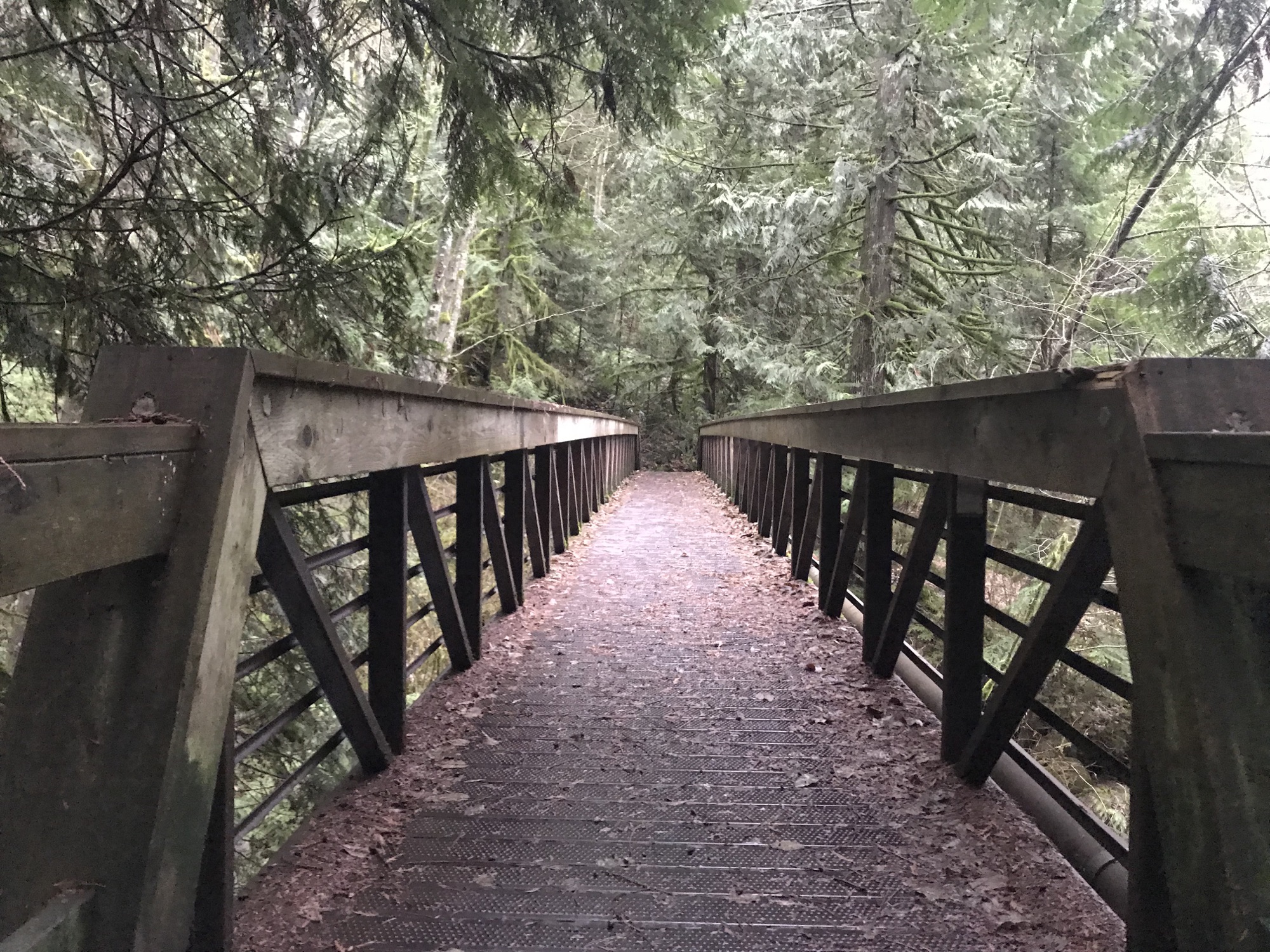 A bridge in the forest in North Vancouver