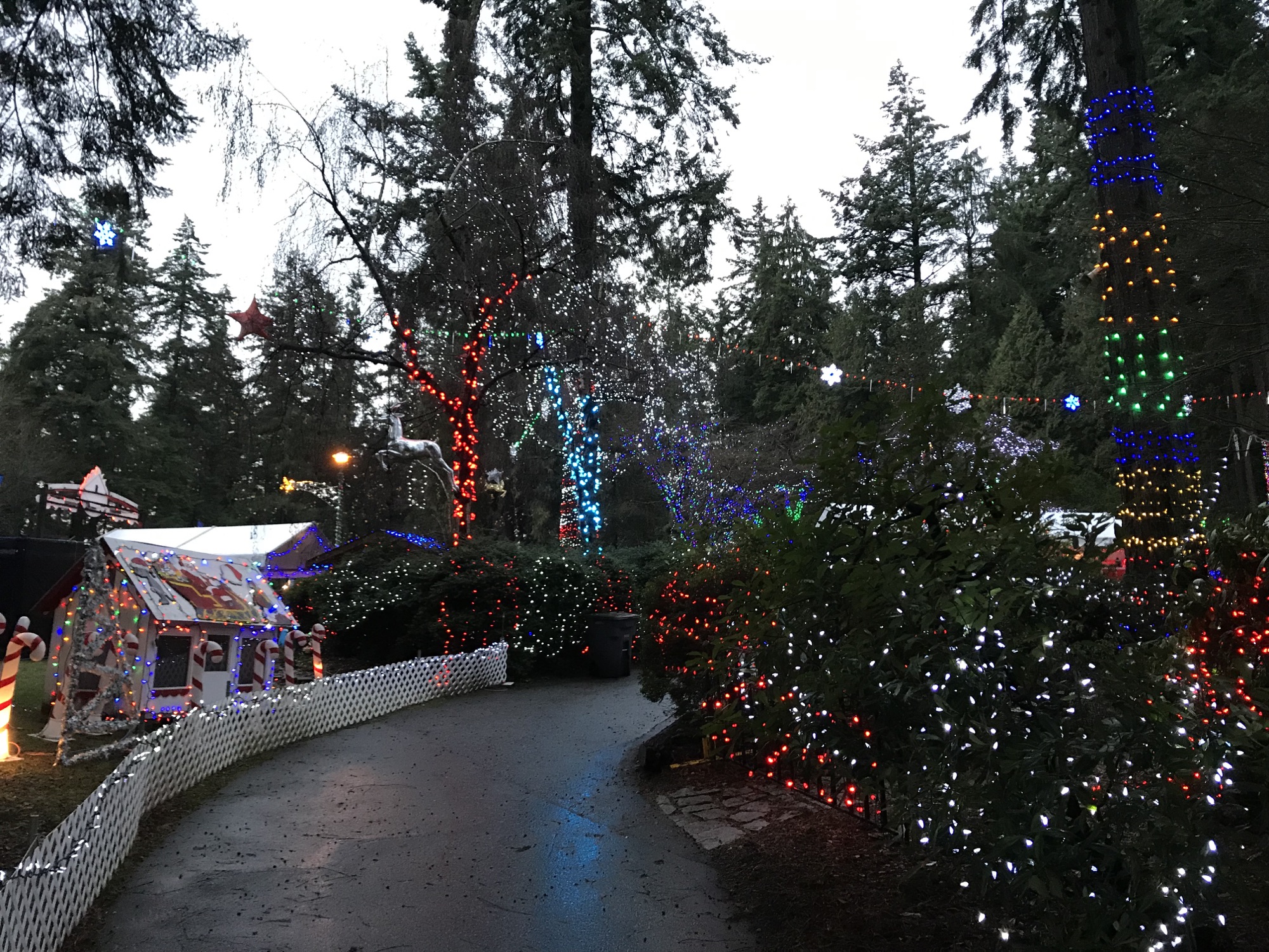 Winter Wonderland in Stanley Park