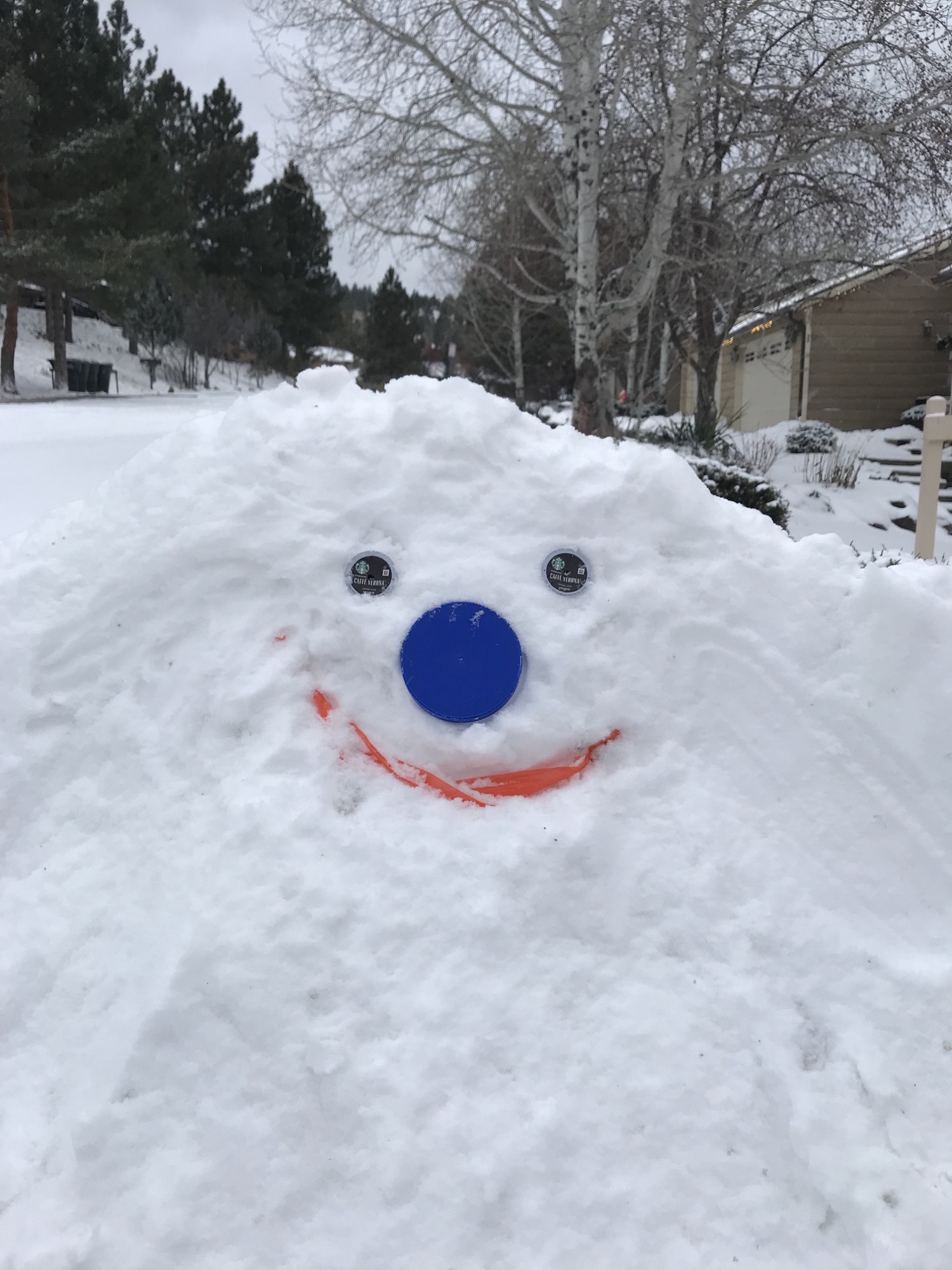 I built a snowman