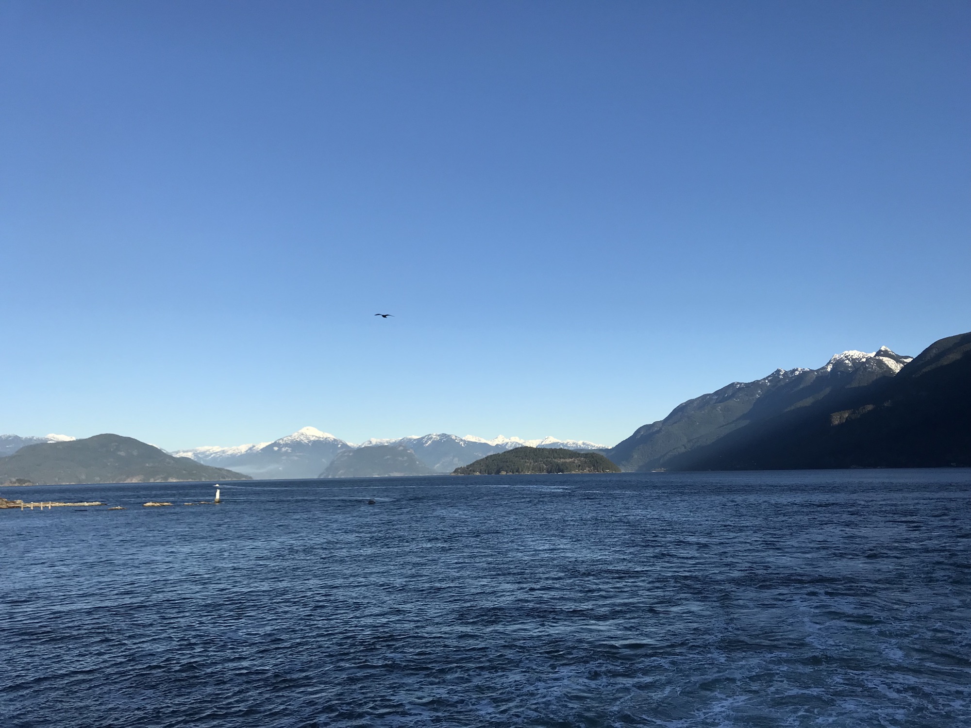 Taking the ferry to Vancouver Island