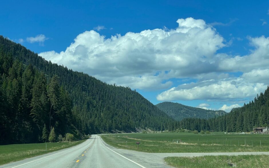 <span id="webp-title-8539-68287b74e3f4a" data-webp-id="8539" data-webp-type="title">The joy of the roadtrip</span>